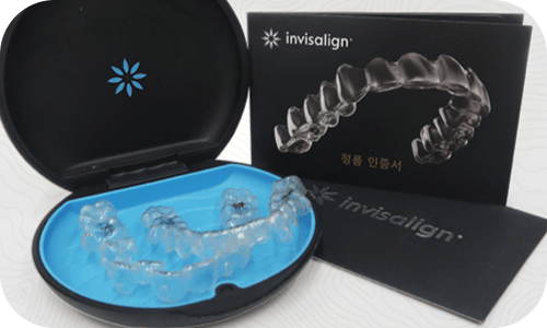 인비절라인